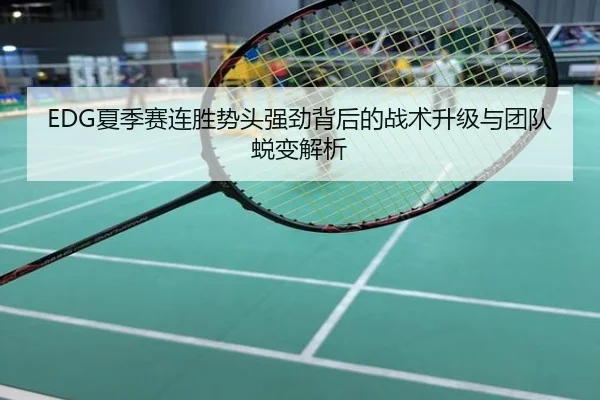 EDG夏季赛连胜势头强劲背后的战术升级与团队蜕变解析