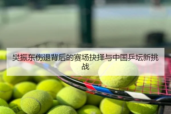 樊振东伤退背后的赛场抉择与中国乒坛新挑战